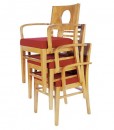 490_collection_arm_stack_l