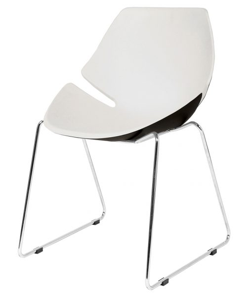 890_sb_Shitake_F_ISA_International
